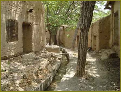 گلپایگان شهر لاله‌های واژگون